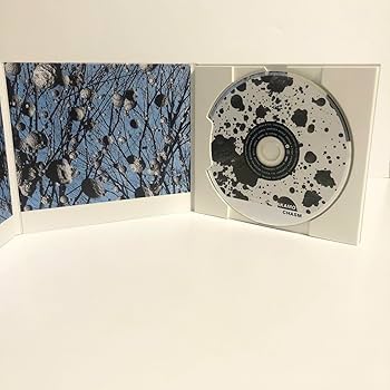 坂本龍一　おもちゃ Amazon.co.jp: 坂本龍一 RCHI SAKAMOTO CHASM キャズム : おもちゃ